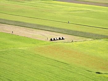 High angle view of agricultural field