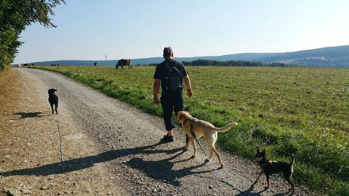 Man standing with dogs on footpath by field