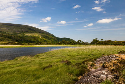 Scenic view of river against sky