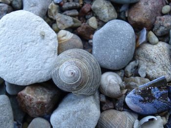 Full frame shot of pebbles