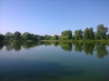 Reflection of trees in calm lake