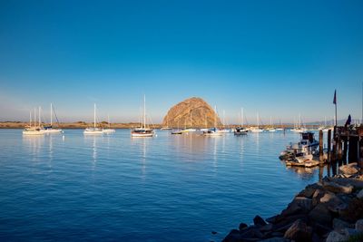 Sailboats in sea against clear blue sky