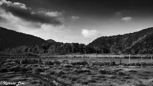 Scenic view of field against cloudy sky