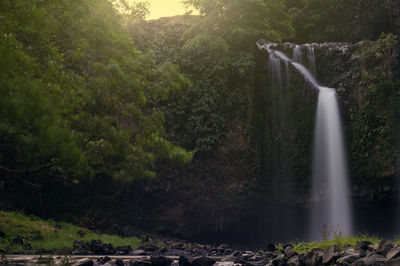 Scenic view of waterfall in forest