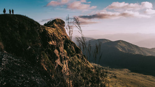 Pictures during trekking in the national park