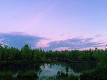 Reflection of trees in lake