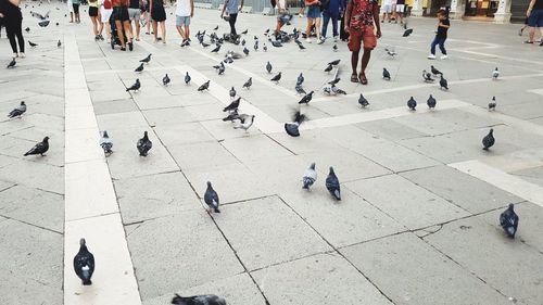 High angle view of people walking on street in city