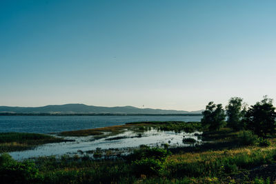 Scenic view of lake against clear blue sky