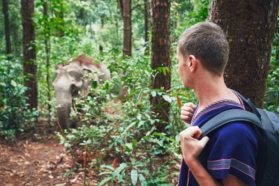 Side view of hiker with backpack looking at elephant in forest