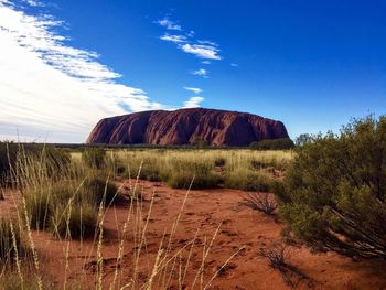 Plants growing on land against sky
