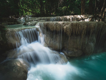 Scenic view of waterfall in forest