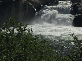 Scenic view of waterfall in forest