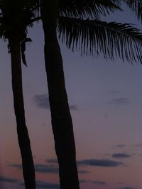 Silhouette palm tree against sky at sunset