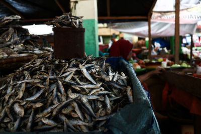 Close-up of fish for sale