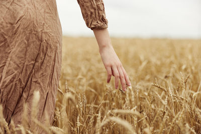 Close-up of hand touching wheat field