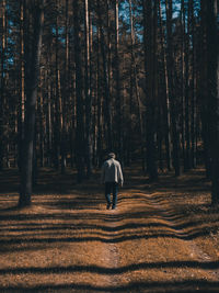 Rear view of man walking in forest