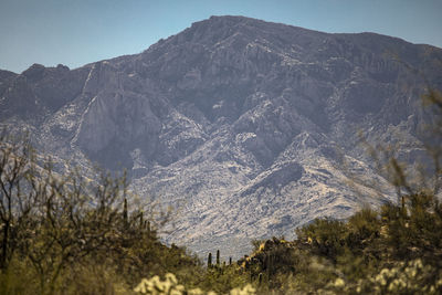mountain
