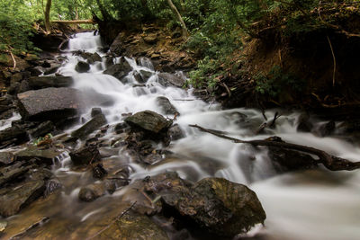 Scenic view of waterfall in forest