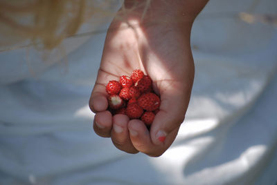 Cropped image of hand holding strawberry