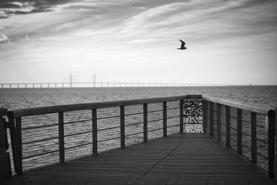 Seagull flying over sea against sky