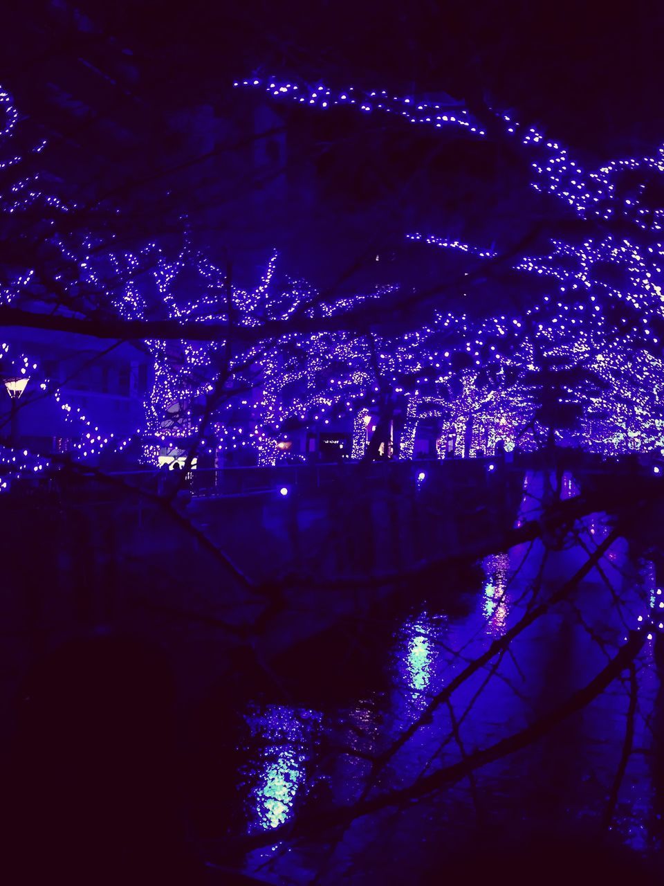 illuminated, night, water, reflection, built structure, architecture, city, building exterior, river, tree, glowing, lighting equipment, cityscape, sky, light - natural phenomenon, outdoors, light, no people, bridge - man made structure, waterfront