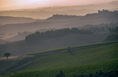 Scenic view of agricultural field against sky during sunset