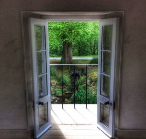 Plants seen through open door