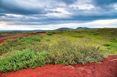 Scenic view of field against sky