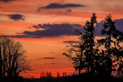 Silhouette trees against sky during sunset