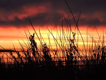 Scenic view of landscape against sky at sunset