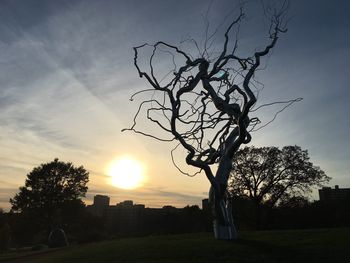 Silhouette tree against sky during sunset