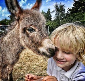 Close-up of boy with foal on field