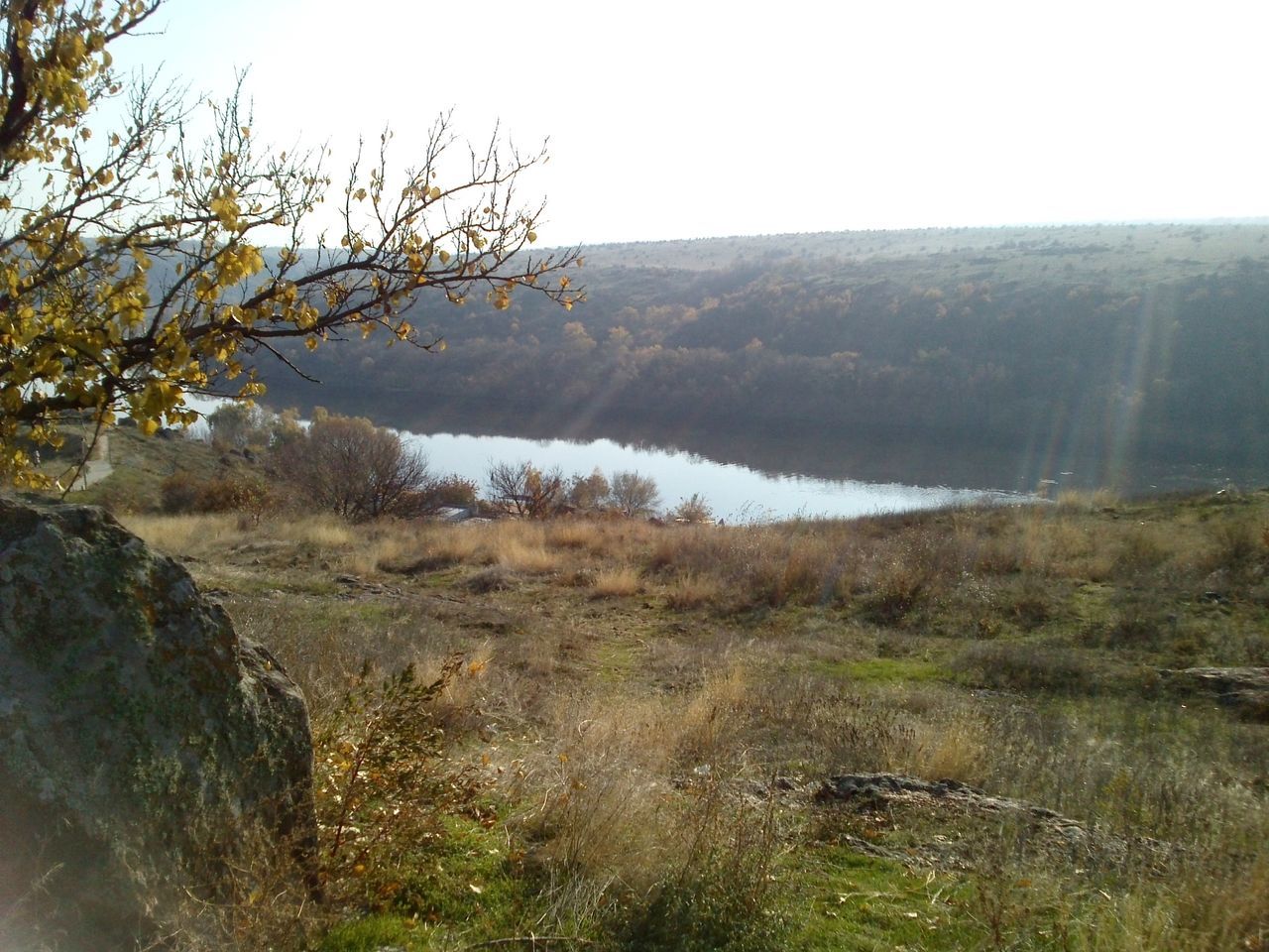 nature, tree, beauty in nature, tranquil scene, scenics, water, tranquility, non-urban scene, growth, landscape, plant, no people, outdoors, sky, day, grass, mountain