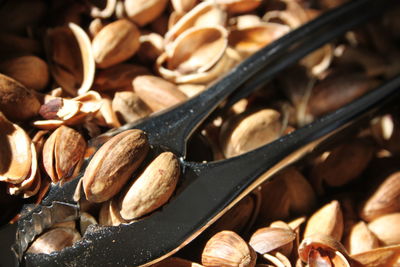 Close-up of nutcracker with nuts