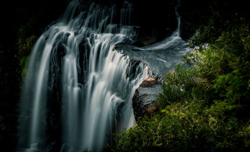 Scenic view of waterfall in forest