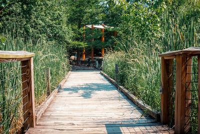 Wooden bridge through the wetlands