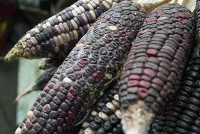 Close-up of blue corn in market