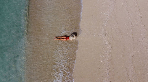 Lady on the beach