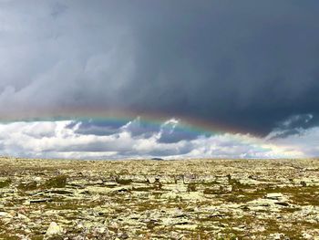 Scenic view of field against rainbow in sky