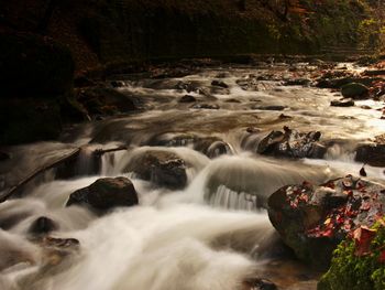 Sunrise over the stream