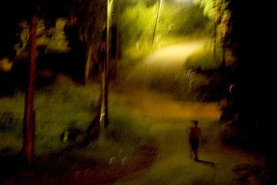 Rear view of man walking in forest