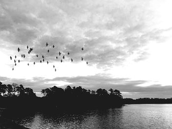 Silhouette birds flying over river against sky