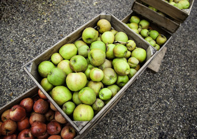 High angle view of apples in crates