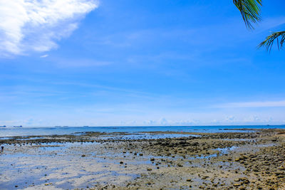 Scenic view of beach against blue sky