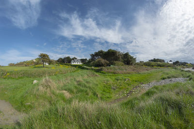 Scenic view of field against sky