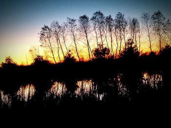 Silhouette of trees at sunset