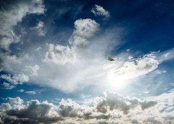 Low angle view of bird flying in sky