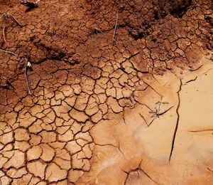 Full frame shot of cracked land