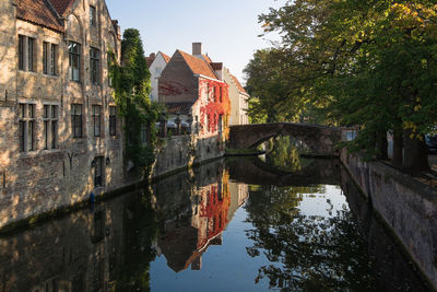 Reflection of trees and buildings in lake