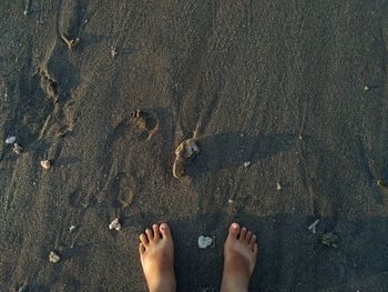 Low section of person standing on sand at beach